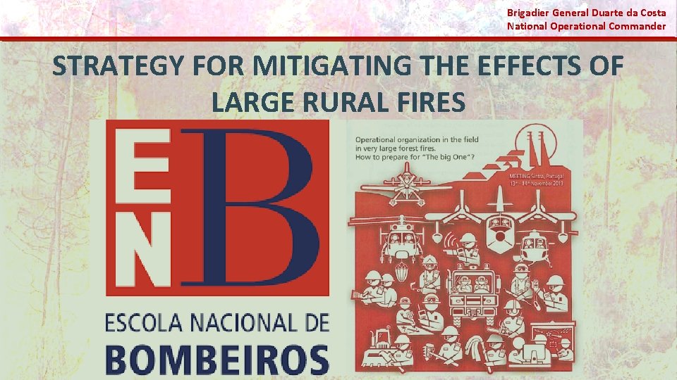 Brigadier General Duarte da Costa National Operational Commander STRATEGY FOR MITIGATING THE EFFECTS OF