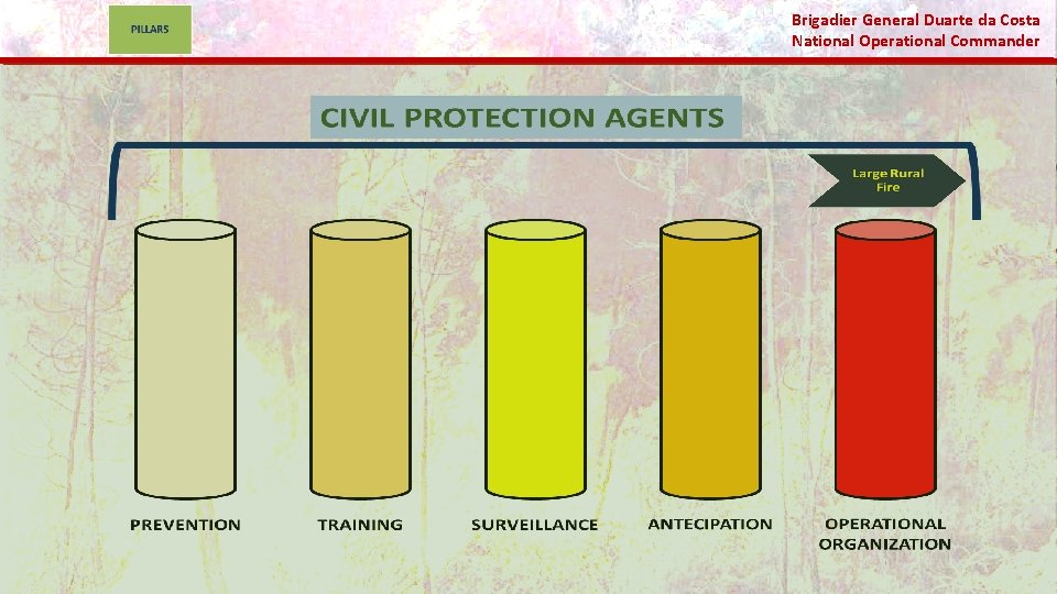 Brigadier General Duarte da Costa National Operational Commander 