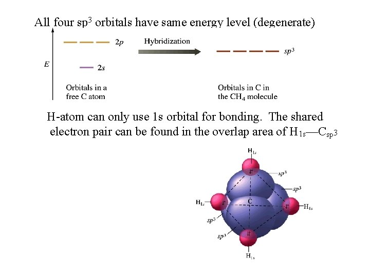 All four sp 3 orbitals have same energy level (degenerate) H-atom can only use