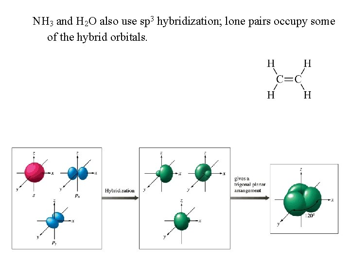 NH 3 and H 2 O also use sp 3 hybridization; lone pairs occupy