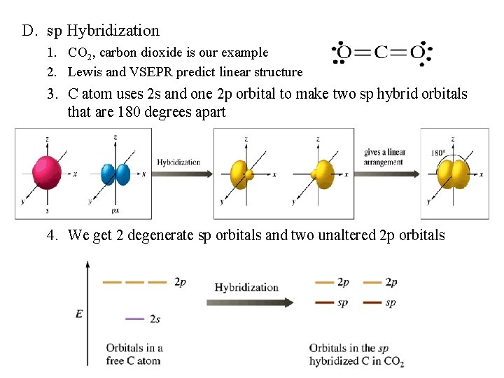 D. sp Hybridization 1. CO 2, carbon dioxide is our example 2. Lewis and
