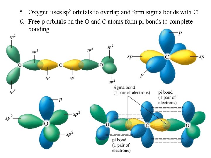 5. Oxygen uses sp 2 orbitals to overlap and form sigma bonds with C
