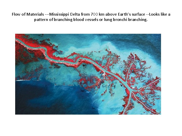 Flow of Materials ---Mississippi Delta from 700 km above Earth’s surface --Looks like a