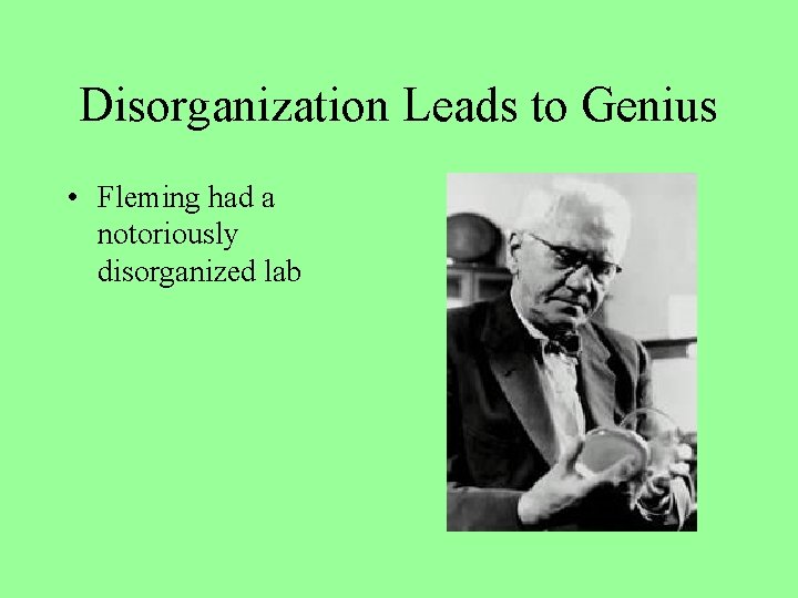 Disorganization Leads to Genius • Fleming had a notoriously disorganized lab 