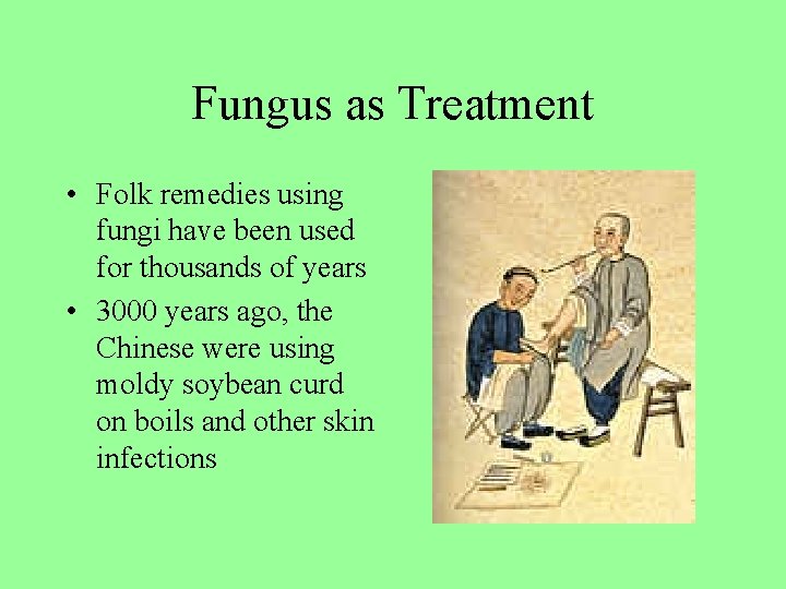 Fungus as Treatment • Folk remedies using fungi have been used for thousands of