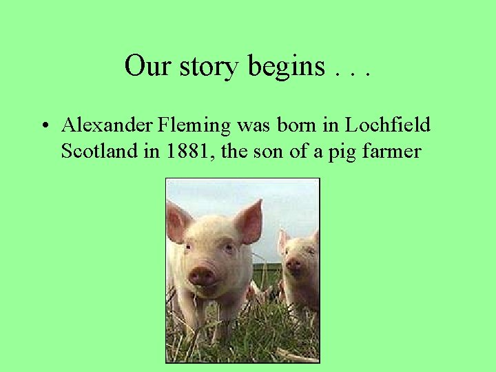 Our story begins. . . • Alexander Fleming was born in Lochfield Scotland in