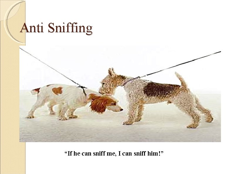 Anti Sniffing “If he can sniff me, I can sniff him!” 