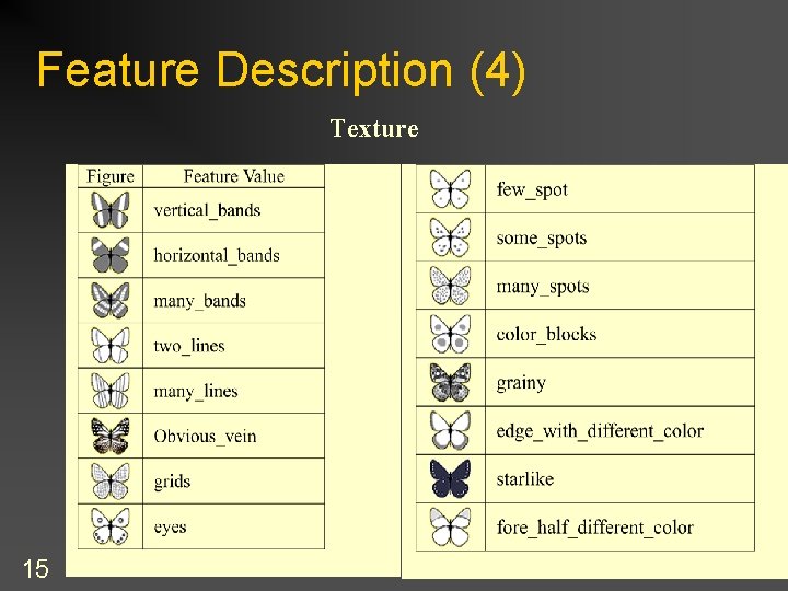 Feature Description (4) Texture 15 