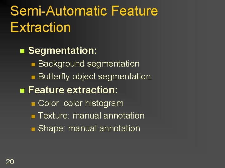 Semi-Automatic Feature Extraction n Segmentation: n n n Feature extraction: n n n 20