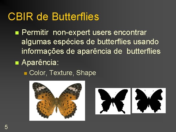 CBIR de Butterflies n n Permitir non-expert users encontrar algumas espécies de butterflies usando