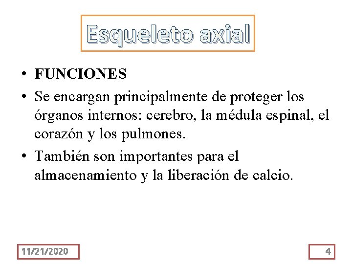 Esqueleto axial • FUNCIONES • Se encargan principalmente de proteger los órganos internos: cerebro,