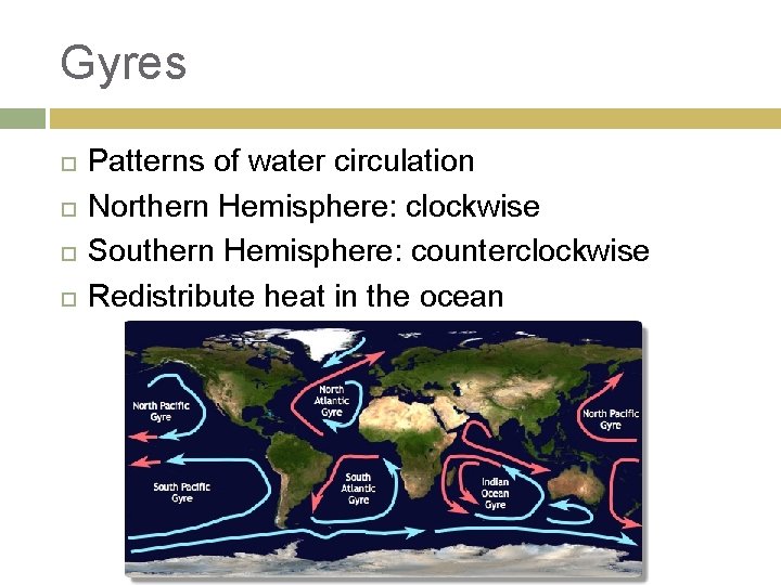Gyres Patterns of water circulation Northern Hemisphere: clockwise Southern Hemisphere: counterclockwise Redistribute heat in