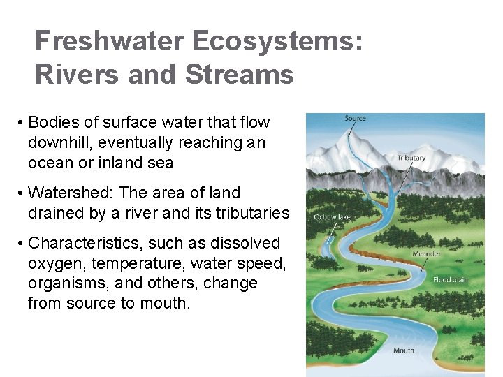 Freshwater Ecosystems: Rivers and Streams • Bodies of surface water that flow downhill, eventually