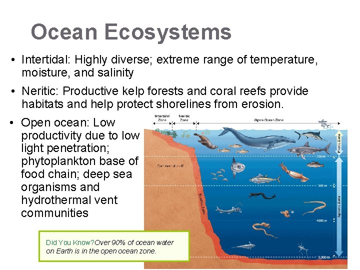 Ocean Ecosystems • Intertidal: Highly diverse; extreme range of temperature, moisture, and salinity •