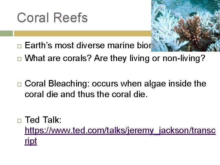 Coral Reefs Earth’s most diverse marine biome What are corals? Are they living or