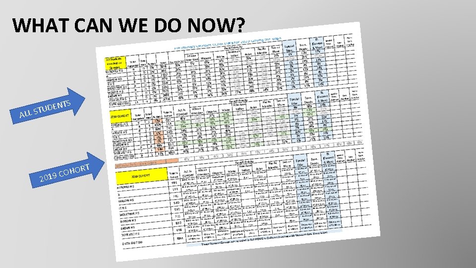 WHAT CAN WE DO NOW? NTS E D U T ALL S 20 RT