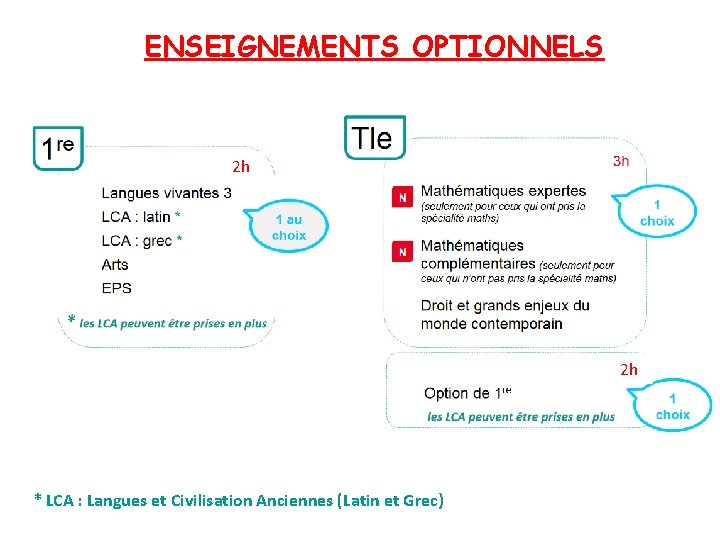 ENSEIGNEMENTS OPTIONNELS 2 h 2 h * LCA : Langues et Civilisation Anciennes (Latin