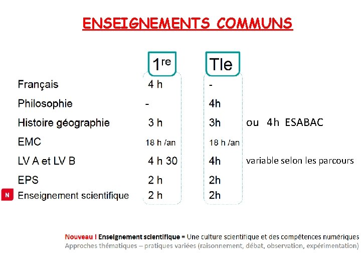 ENSEIGNEMENTS COMMUNS ou 4 h ESABAC variable selon les parcours 