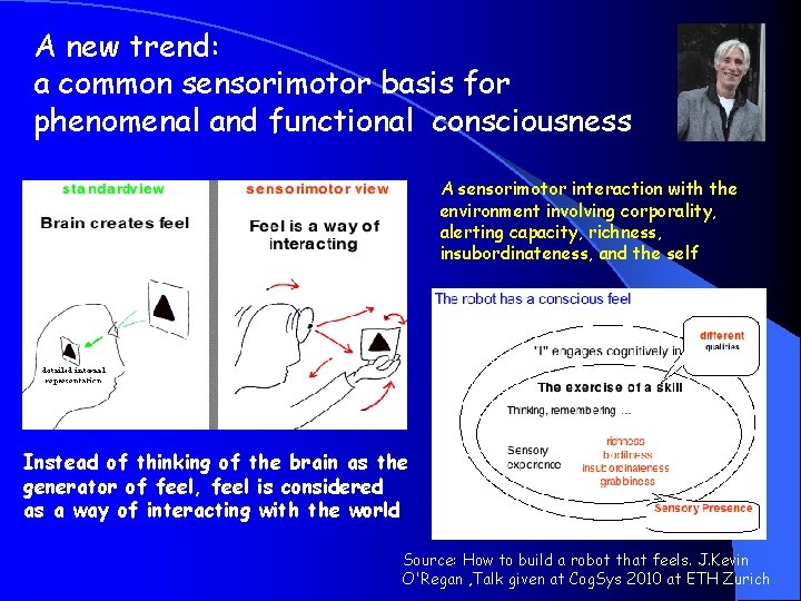  A new trend: a common sensorimotor basis for phenomenal and functional consciousness A