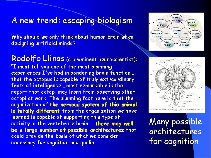 A new trend: escaping biologism Why should we only think about human brain when