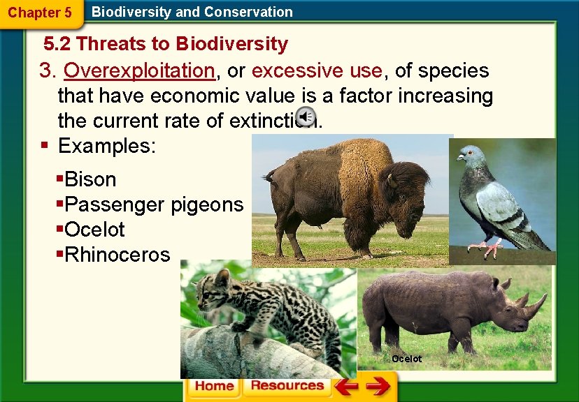 Chapter 5 Biodiversity and Conservation 5. 2 Threats to Biodiversity 3. Overexploitation, or excessive