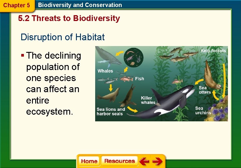 Chapter 5 Biodiversity and Conservation 5. 2 Threats to Biodiversity Disruption of Habitat §