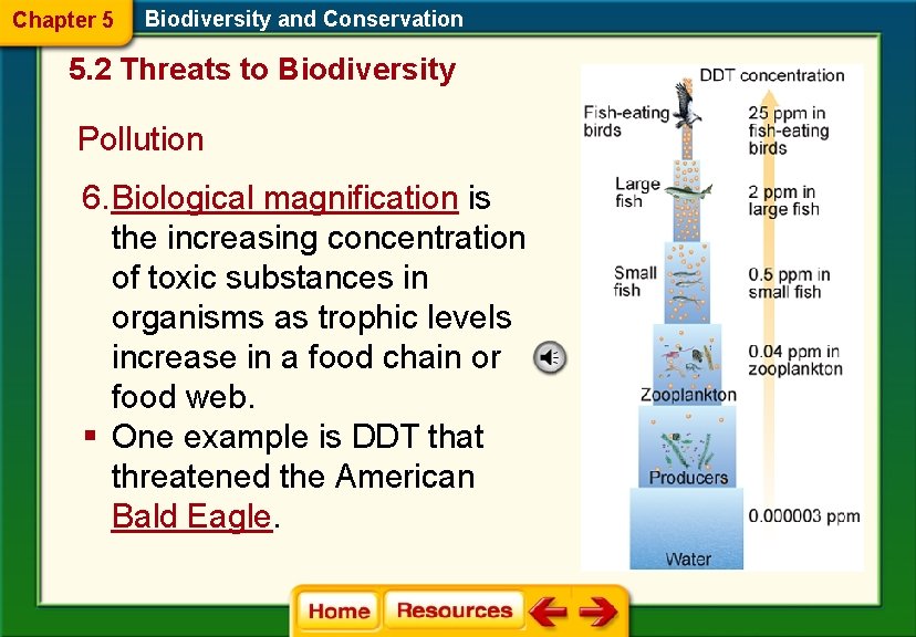 Chapter 5 Biodiversity and Conservation 5. 2 Threats to Biodiversity Pollution 6. Biological magnification