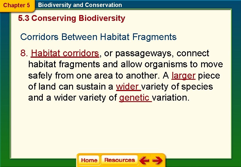 Chapter 5 Biodiversity and Conservation 5. 3 Conserving Biodiversity Corridors Between Habitat Fragments 8.