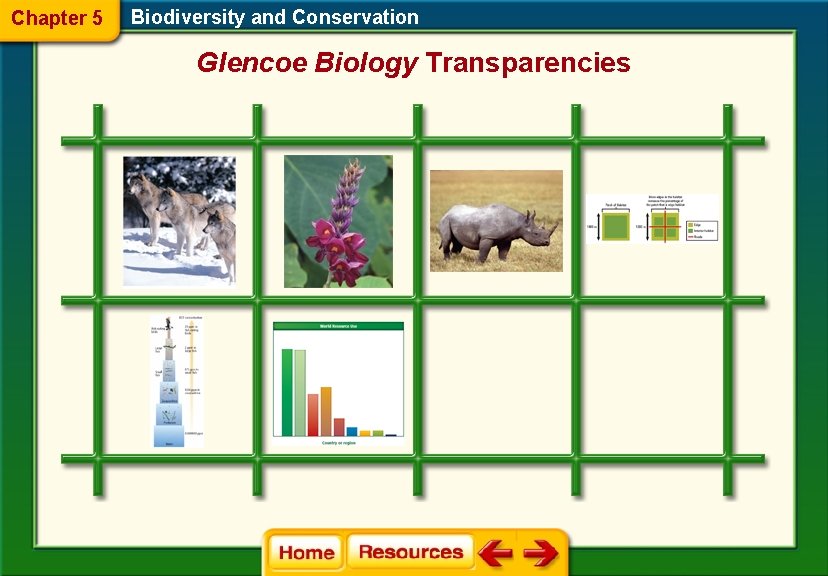 Chapter 5 Biodiversity and Conservation Glencoe Biology Transparencies 