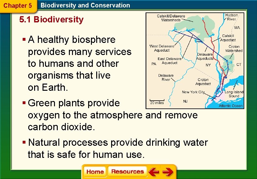 Chapter 5 Biodiversity and Conservation 5. 1 Biodiversity § A healthy biosphere provides many