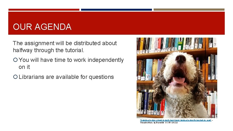 OUR AGENDA The assignment will be distributed about halfway through the tutorial. You will