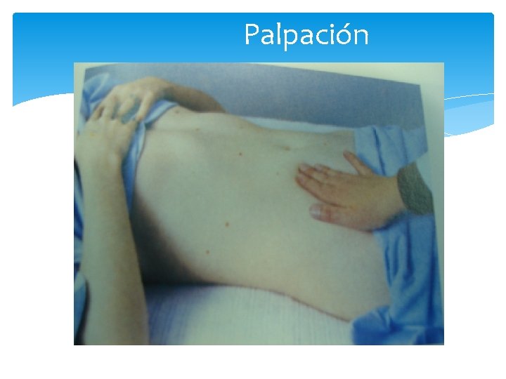 Palpación 