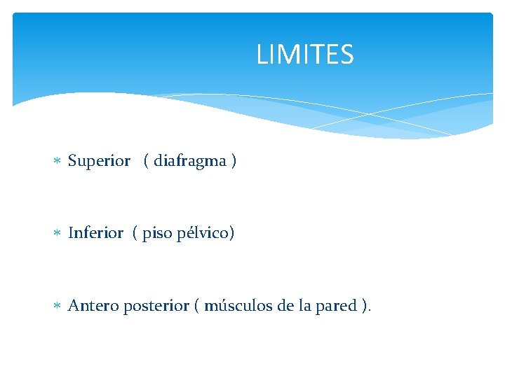 LIMITES Superior ( diafragma ) Inferior ( piso pélvico) Antero posterior ( músculos de