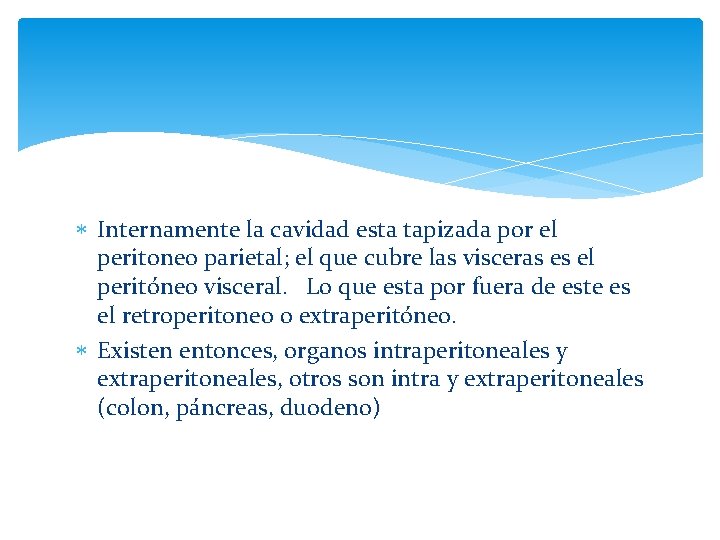  Internamente la cavidad esta tapizada por el peritoneo parietal; el que cubre las