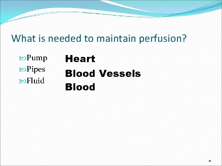 What is needed to maintain perfusion? Pump Pipes Fluid Heart Blood Vessels Blood 11