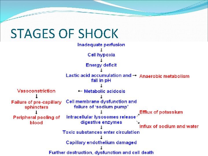 STAGES OF SHOCK 141 