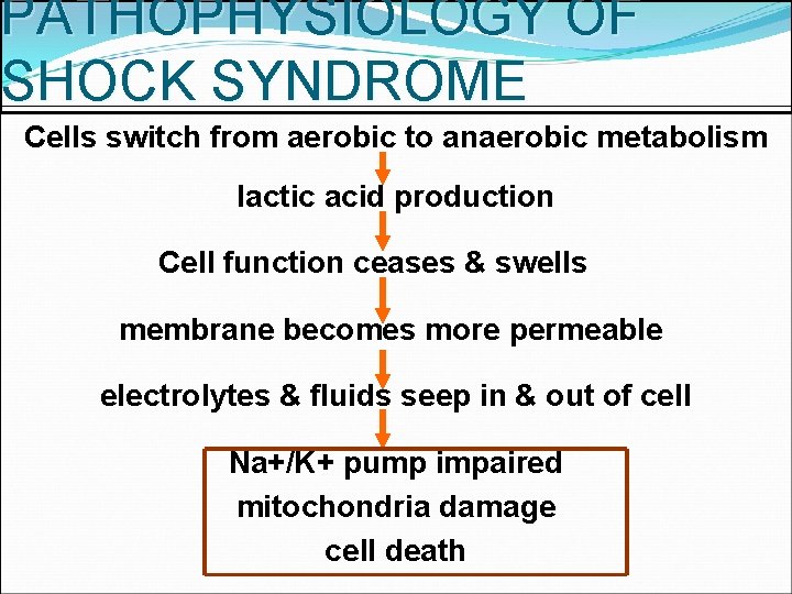 PATHOPHYSIOLOGY OF SHOCK SYNDROME Cells switch from aerobic to anaerobic metabolism lactic acid production