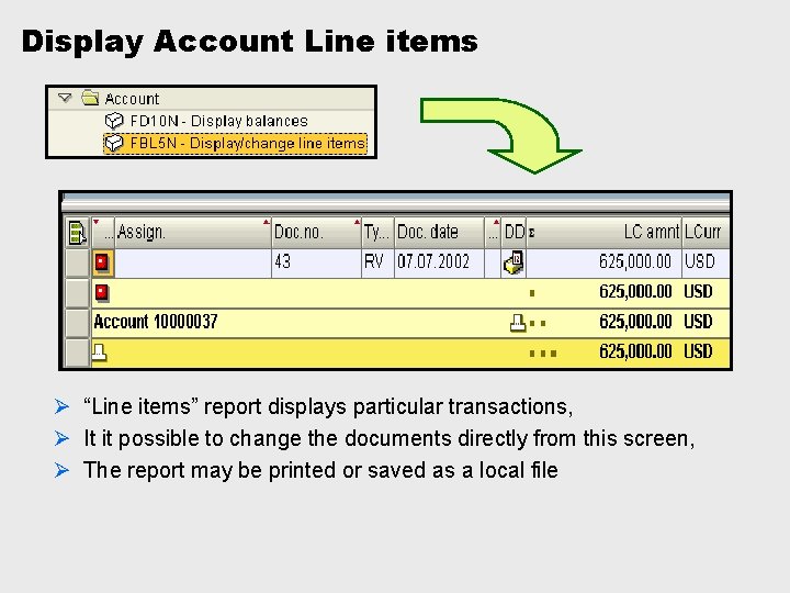 Display Account Line items Ø “Line items” report displays particular transactions, Ø It it