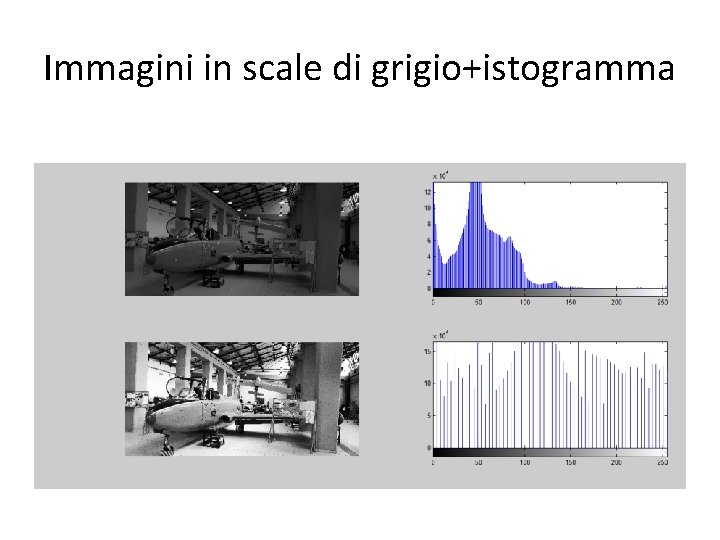 Immagini in scale di grigio+istogramma 