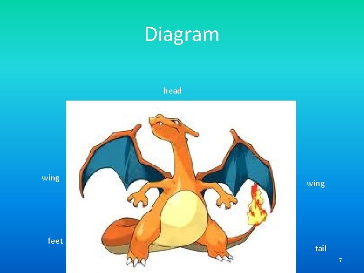 Diagram head wing feet wing tail 7 