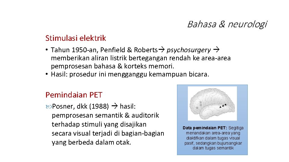 Bahasa & neurologi Stimulasi elektrik • Tahun 1950 -an, Penfield & Roberts psychosurgery memberikan