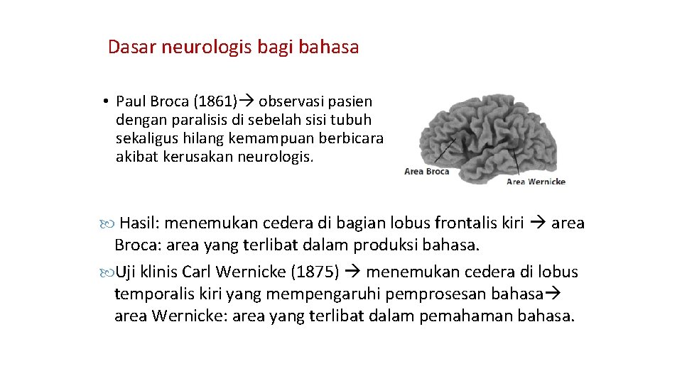 Dasar neurologis bagi bahasa • Paul Broca (1861) observasi pasien dengan paralisis di sebelah