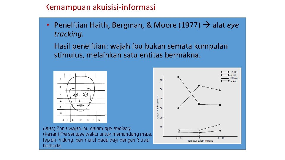 Kemampuan akuisisi-informasi • Penelitian Haith, Bergman, & Moore (1977) alat eye tracking. Hasil penelitian: