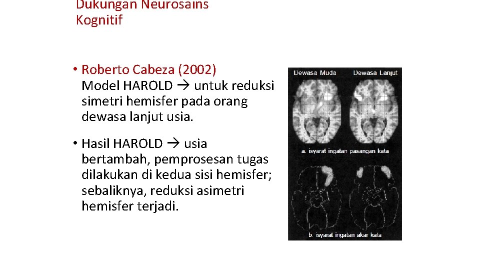 Dukungan Neurosains Kognitif • Roberto Cabeza (2002) Model HAROLD untuk reduksi simetri hemisfer pada