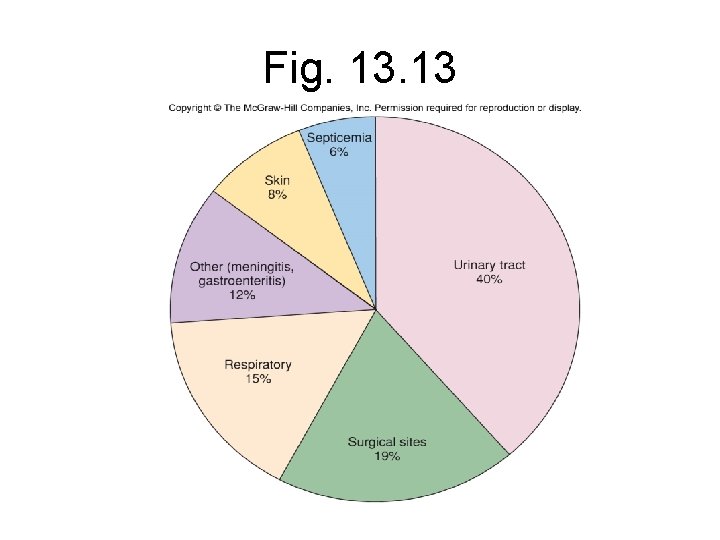 Fig. 13 