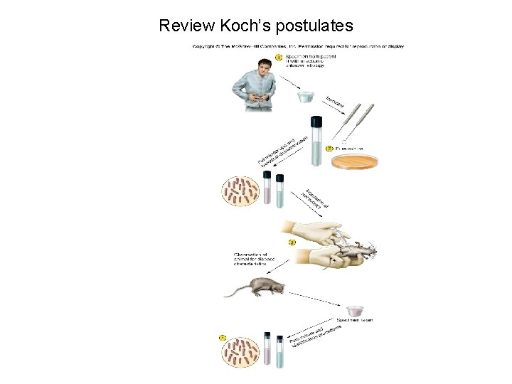 Review Koch’s postulates 