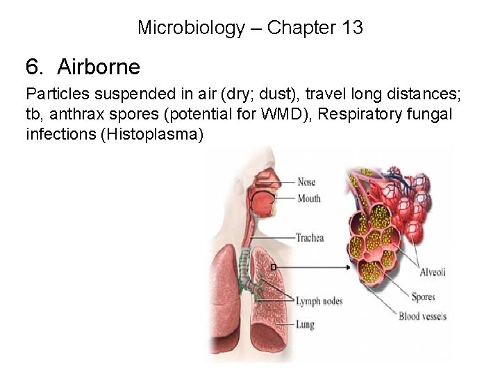 Microbiology – Chapter 13 6. Airborne Particles suspended in air (dry; dust), travel long