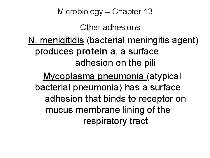 Microbiology – Chapter 13 Other adhesions N. menigitidis (bacterial meningitis agent) produces protein a,