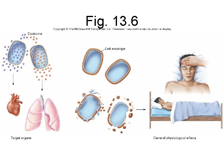 Fig. 13. 6 