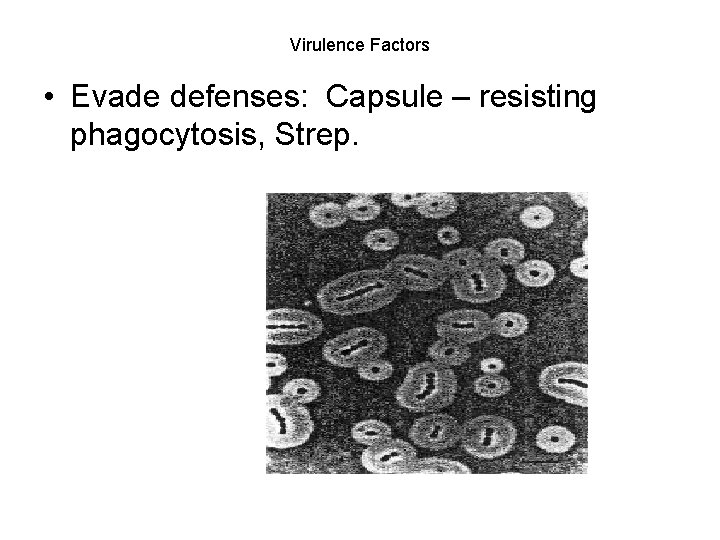 Virulence Factors • Evade defenses: Capsule – resisting phagocytosis, Strep. 